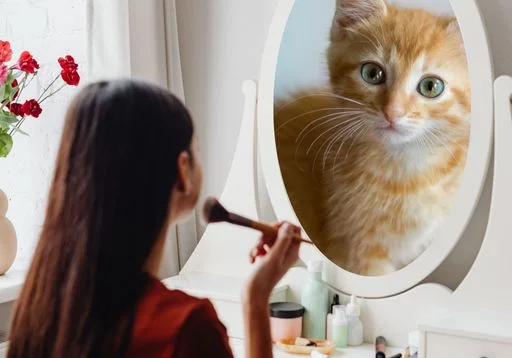 Découvrez ce qu'est l’effet miroir entre l’animal et son gardien et comment la Communication animale décode le sens du comportement de votre animal.